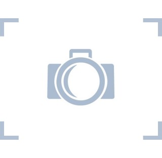 Seringue 30 mm avec filtre nylon 0,20 um (Boite de 100)